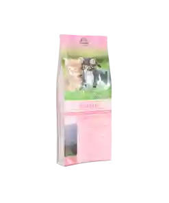 Carpathian Kittens 1,5kg