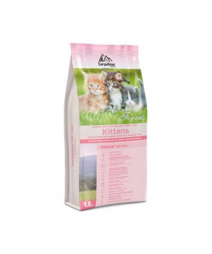 Carpathian Kittens 1,5kg Carpathian Kittens 1,5kg