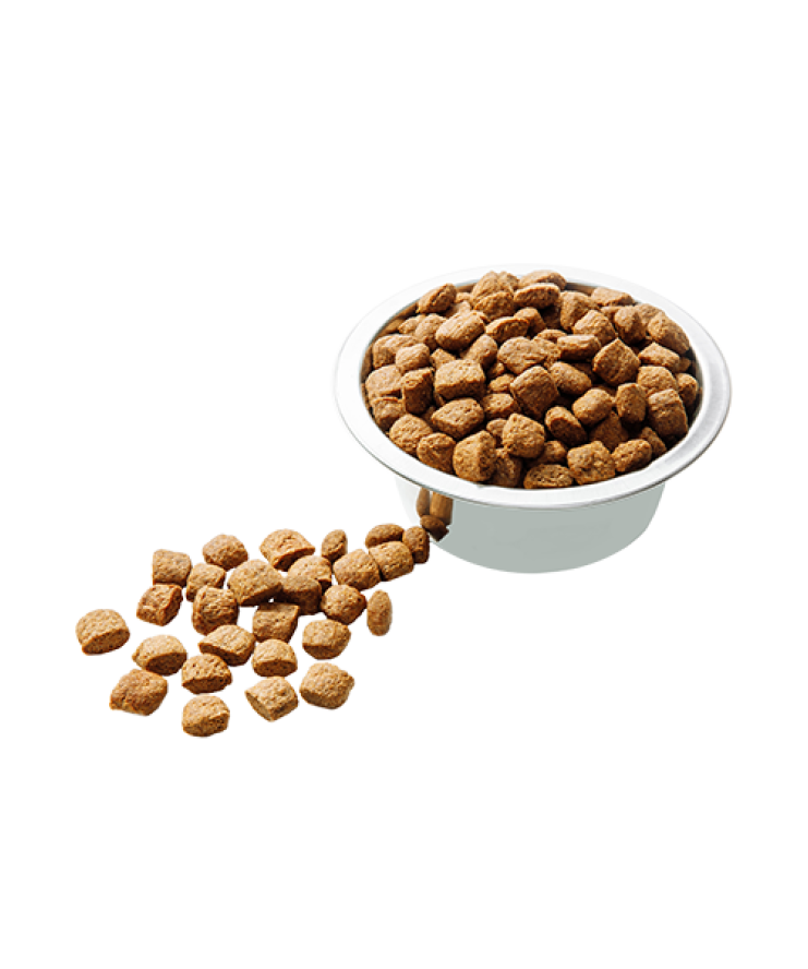 Carpathian Mini Adult Hrana Uscata Caini 3kg Carpathian Mini Adult Hrana Uscata Caini 3kg