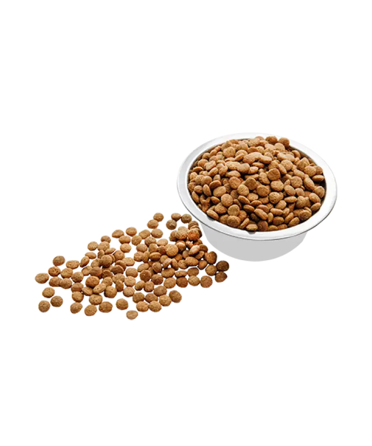 Carpathian Optimal Care Hrana Uscata Pisici 1.5kg Carpathian Optimal Care Hrana Uscata Pisici 1.5kg